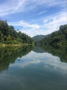 Royal Belum State Park is massive!