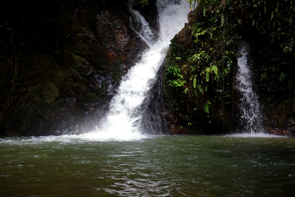 Sungai Ruok Fish Sanctuary
