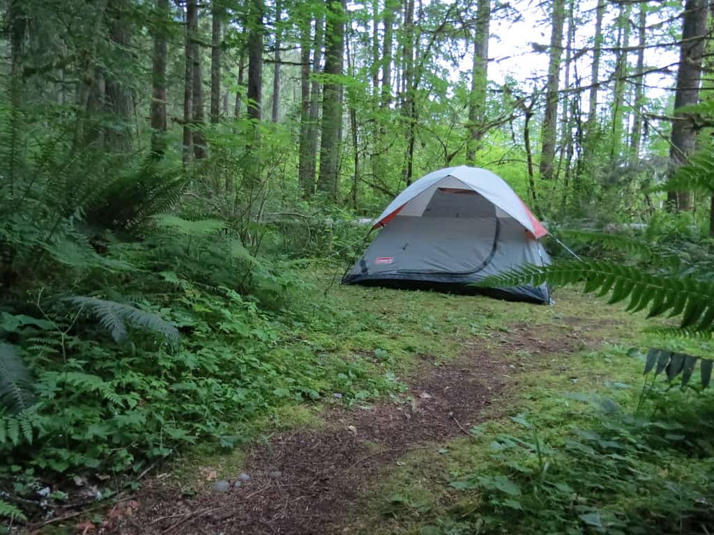 The 4 Campsites at Royal Belum State Park