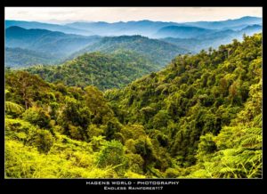 The Best Time for Camping at Royal Belum State Park