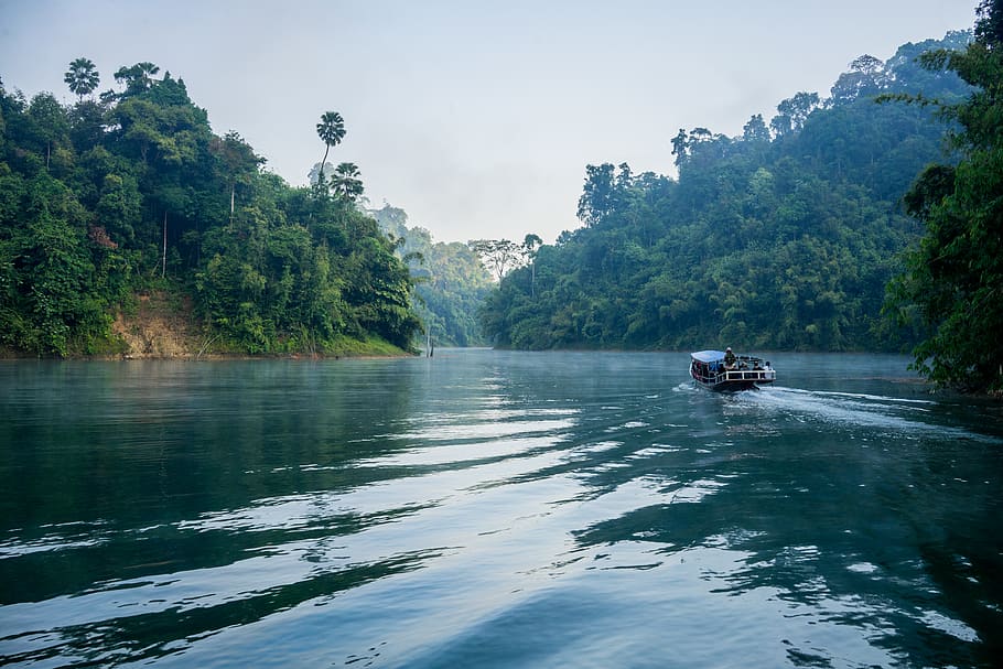 Travel Tips to Remember on Your Camping Trip to Royal Belum State Park