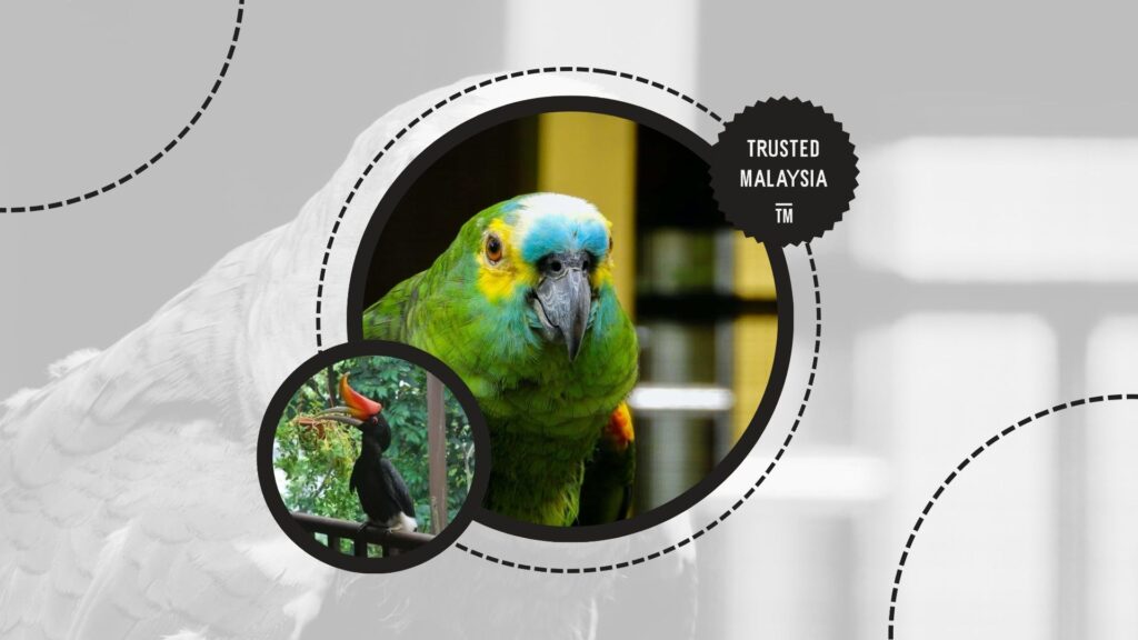 kuala-lumpur-bird-park