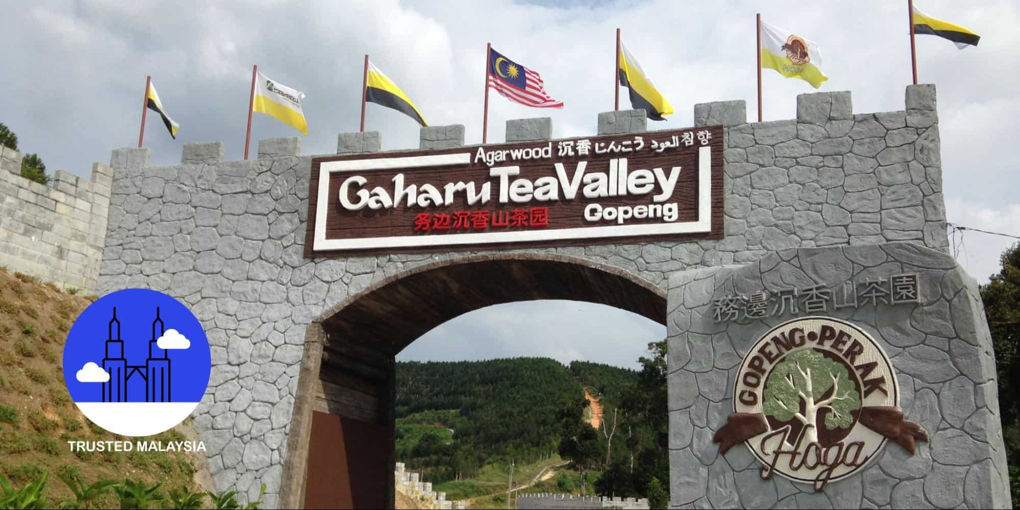 An In-Depth Travel Guide to Gaharu Tea Valley