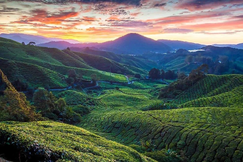 Breathtaking Natural Landscapes