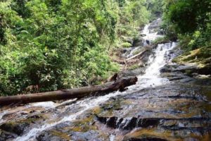 Kanching Waterfalls image 1