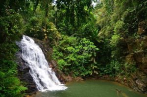 Kota Tinggi Waterfalls