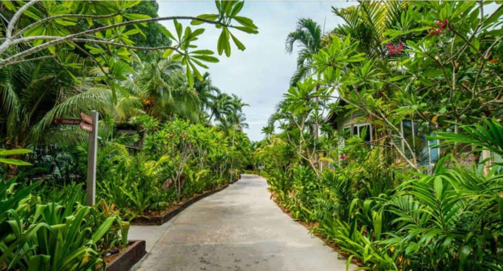 Stroll through the island’s trail