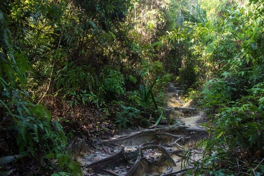 Visit Penang National Park