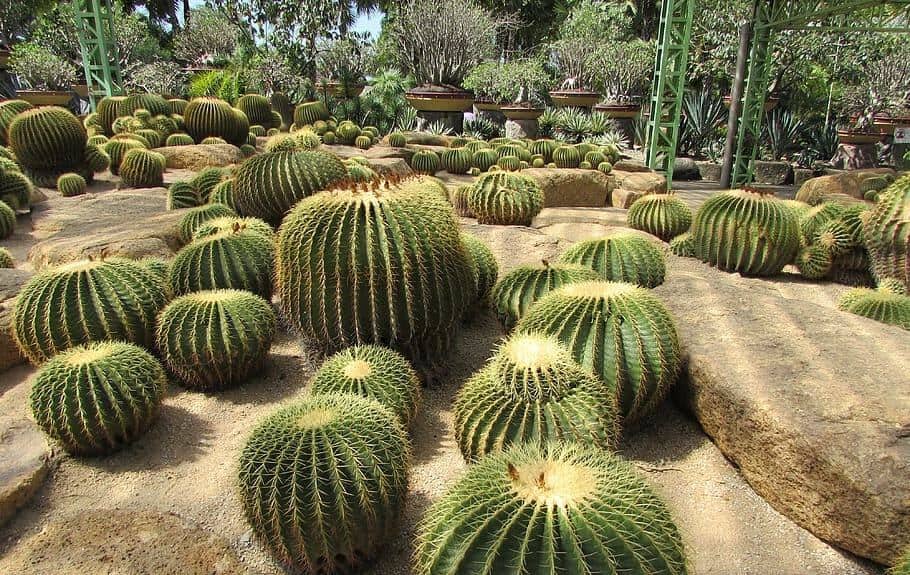 Visit the Tropical Spice Garden