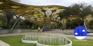 Your Number One Guide to Perdana Botanical Garden
