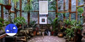 9 Mesmerizing Malaysian Plants and Flowers