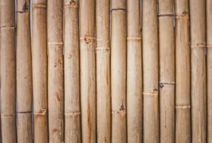 Bamboo Cutting Ritual