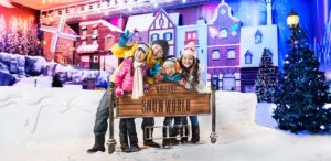 Experience winter at the Snow World Experience