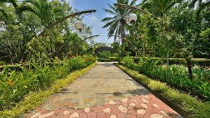 Breath in fresh air at Labuan Botanical Gardens