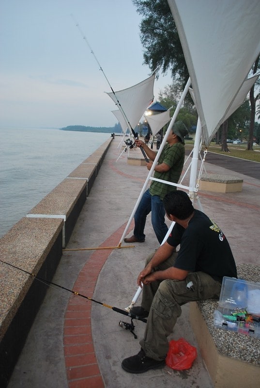 Catch and release different kinds of fish