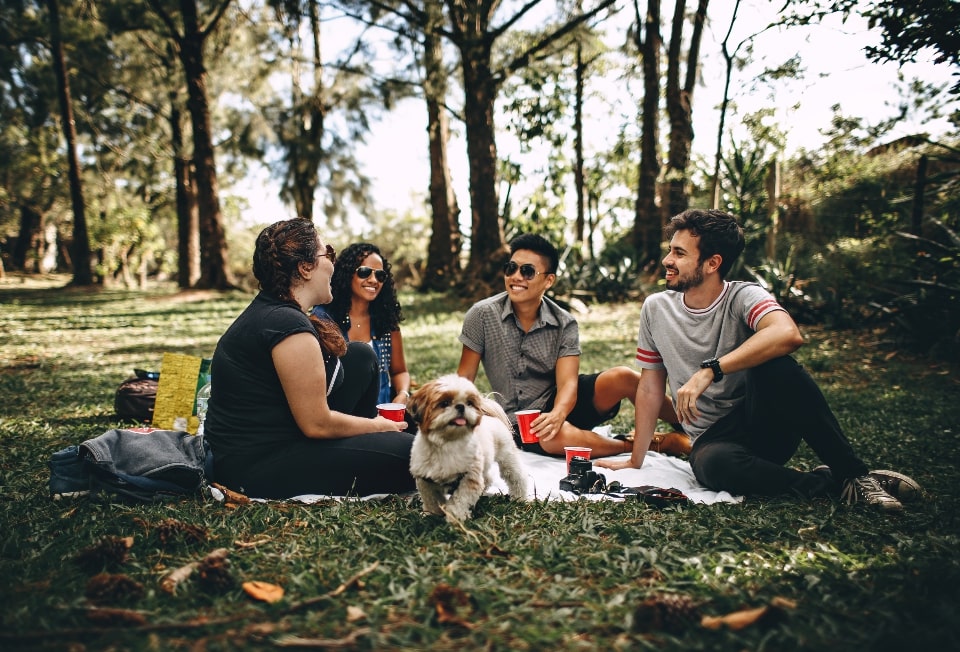 Go on a picnic with your loved ones