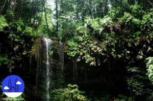 Top 9 Things to Do in Miri