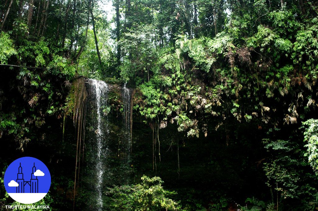 Top 9 Things to Do in Miri
