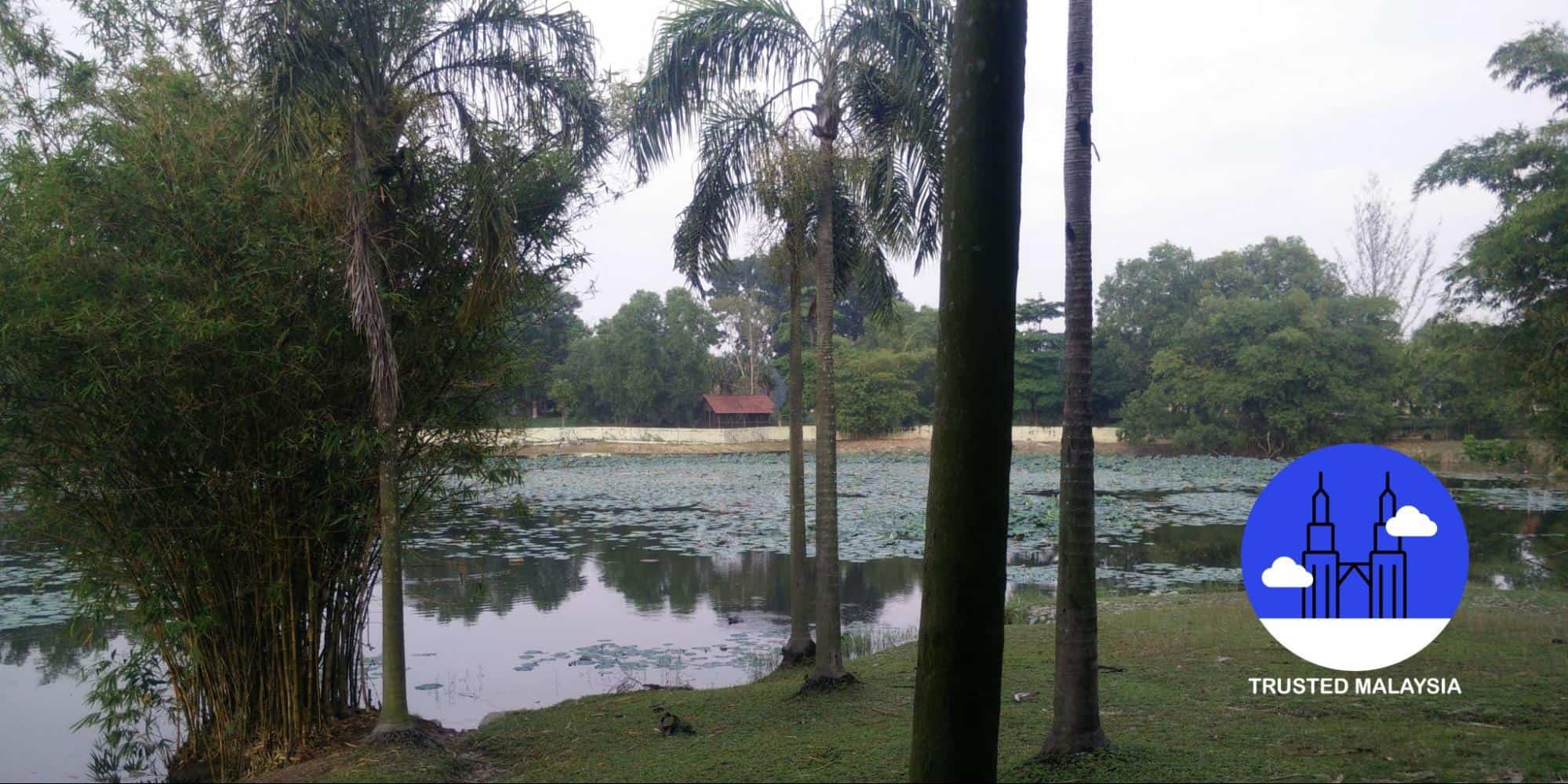 Visiting Paya Indah Wetlands What to Expect