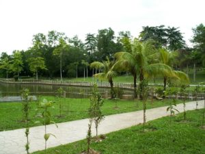 Walk on the reflexology path
