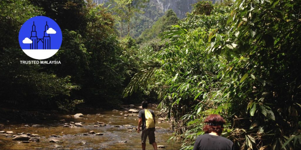 7 Jungle Trekking Spots in Malaysia for All Kinds of Hikers