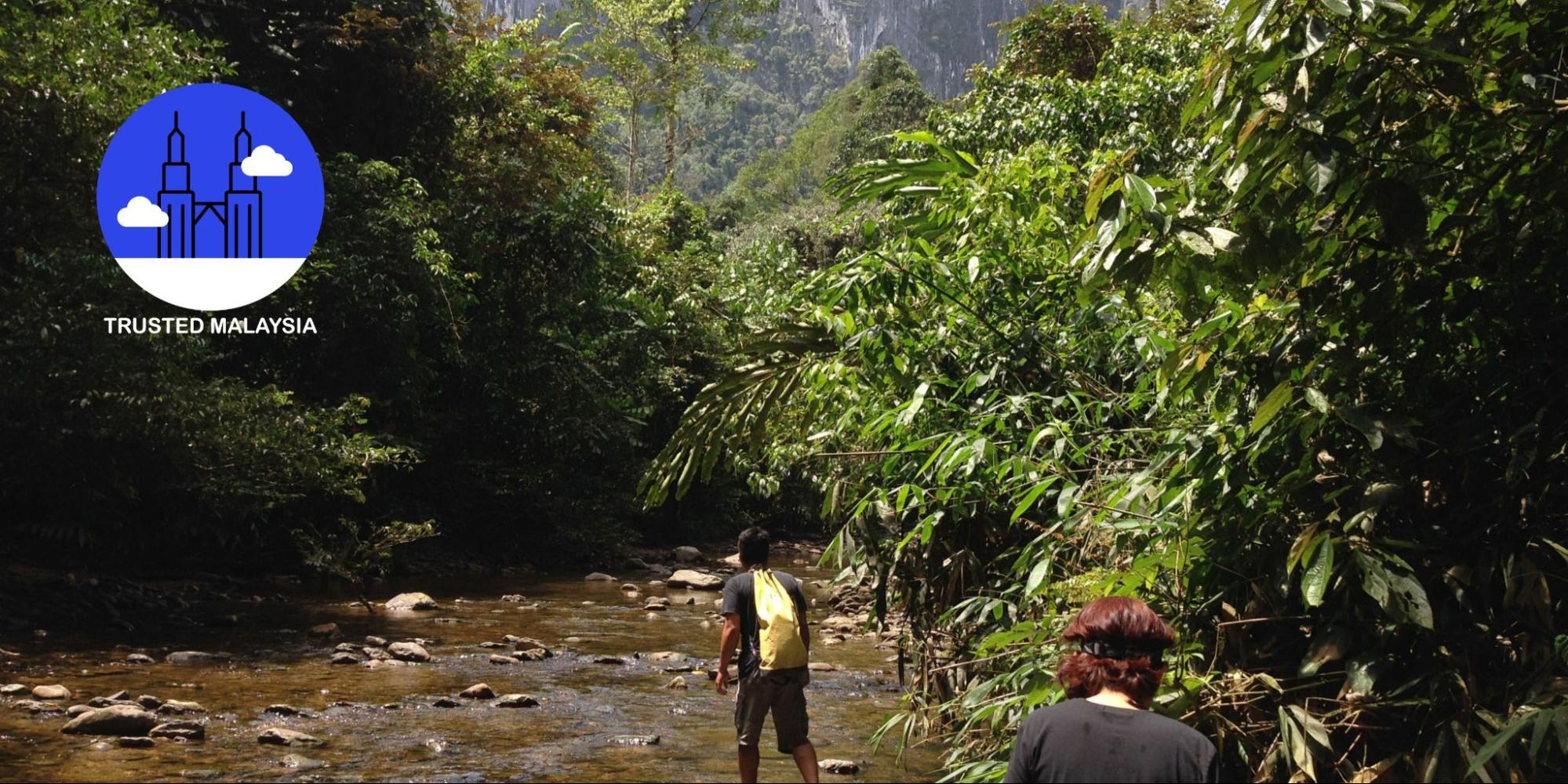 7 Jungle Trekking Spots in Malaysia for All Kinds of Hikers