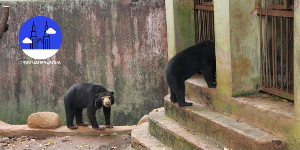 The Ultimate Zoo Melaka Guide