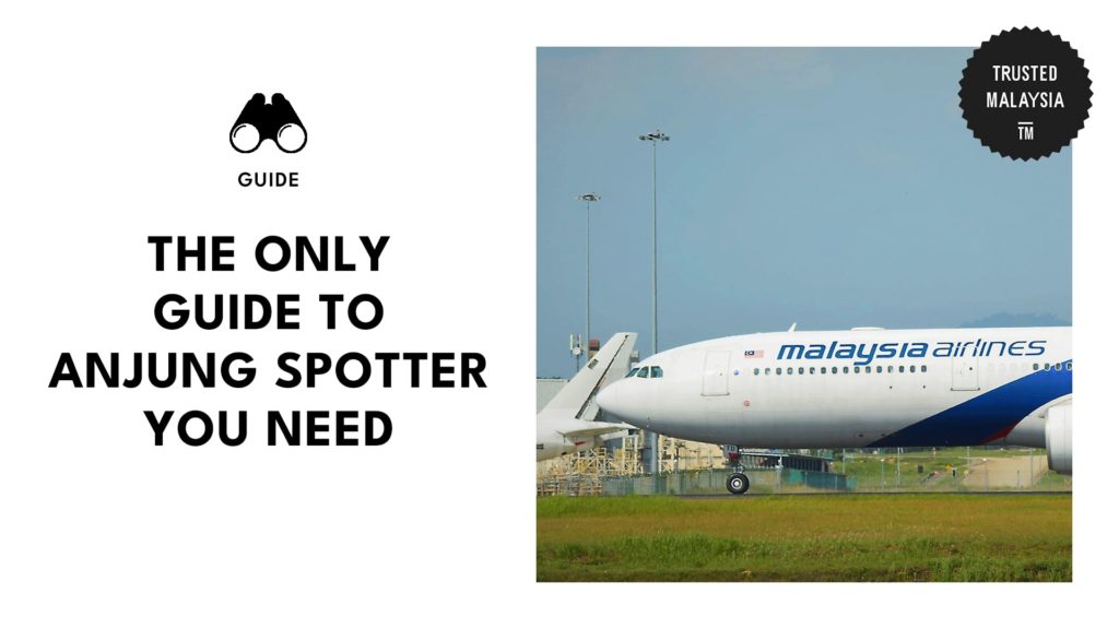 The Ultimate Guide for Aerophiles