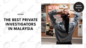 Best Private Investigators