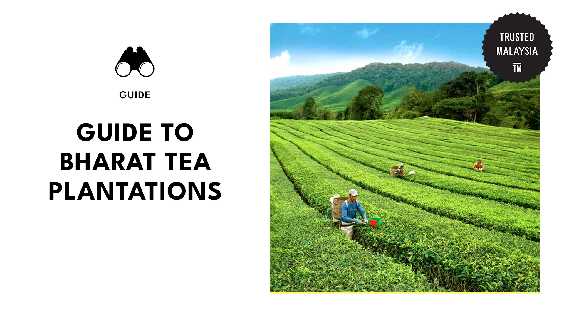Bharat Tea Plantations