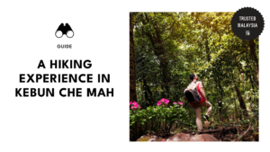 Kebun Che Mah at Kuala Lumpur
