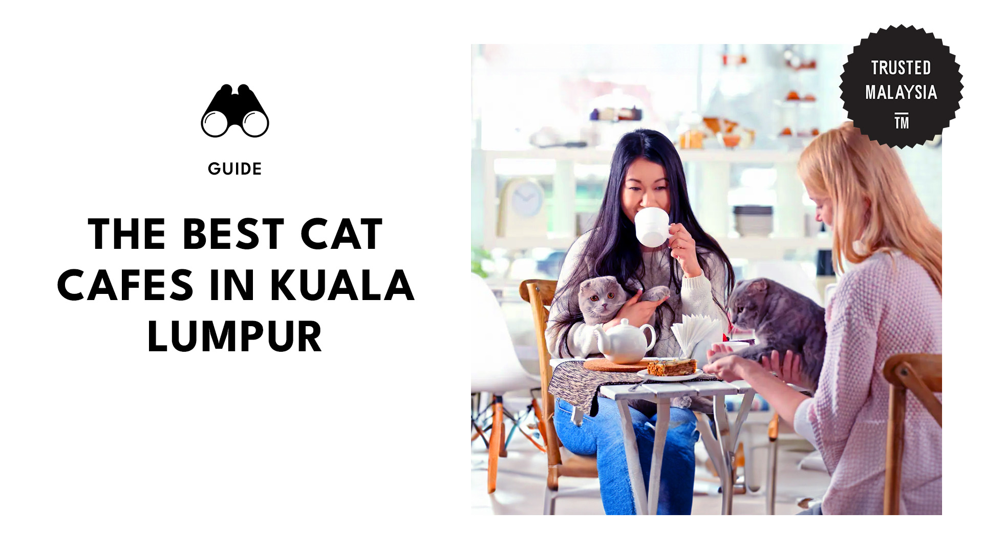 Cat Cafes in Kuala Lumpur