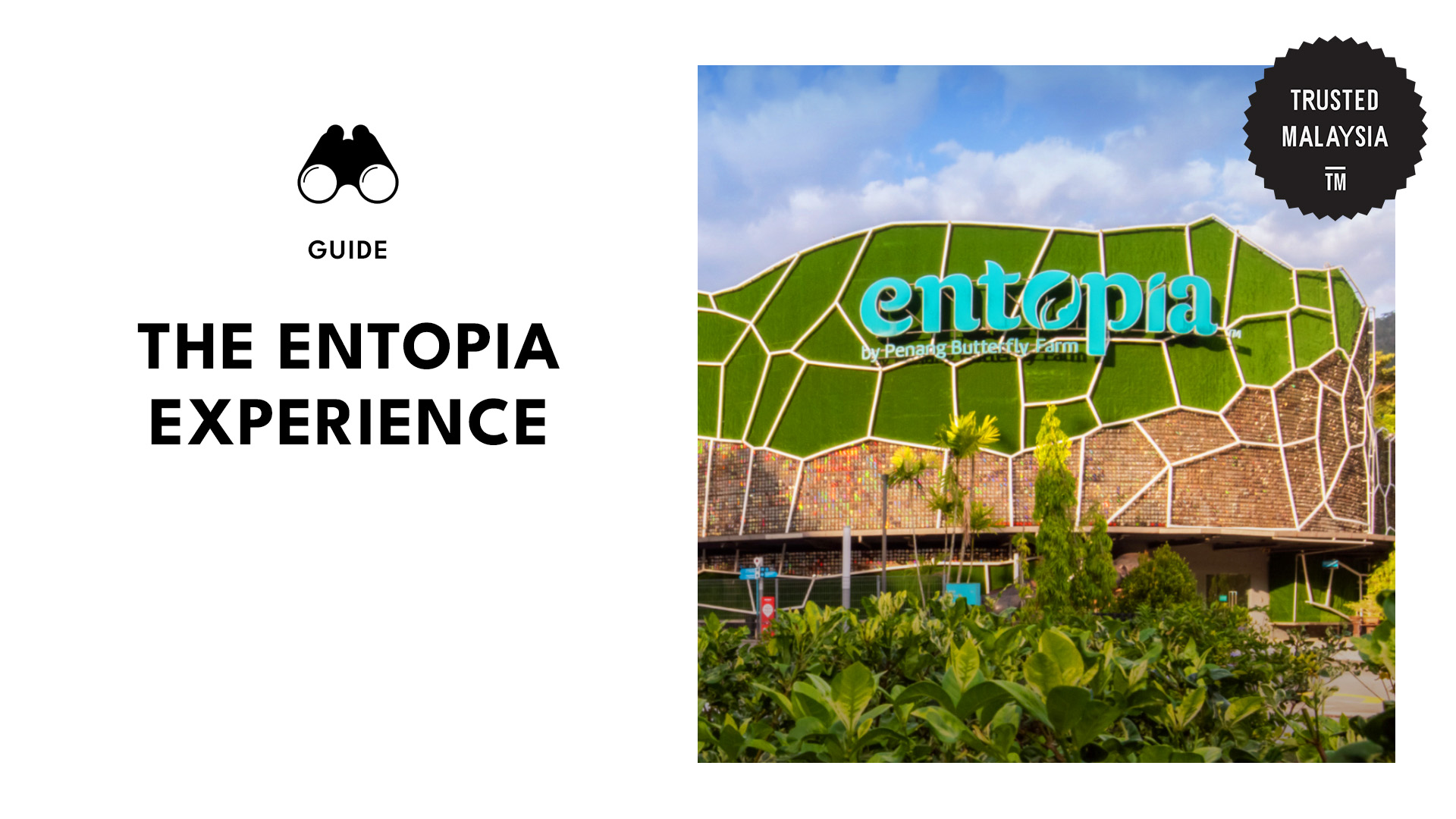 Entopia