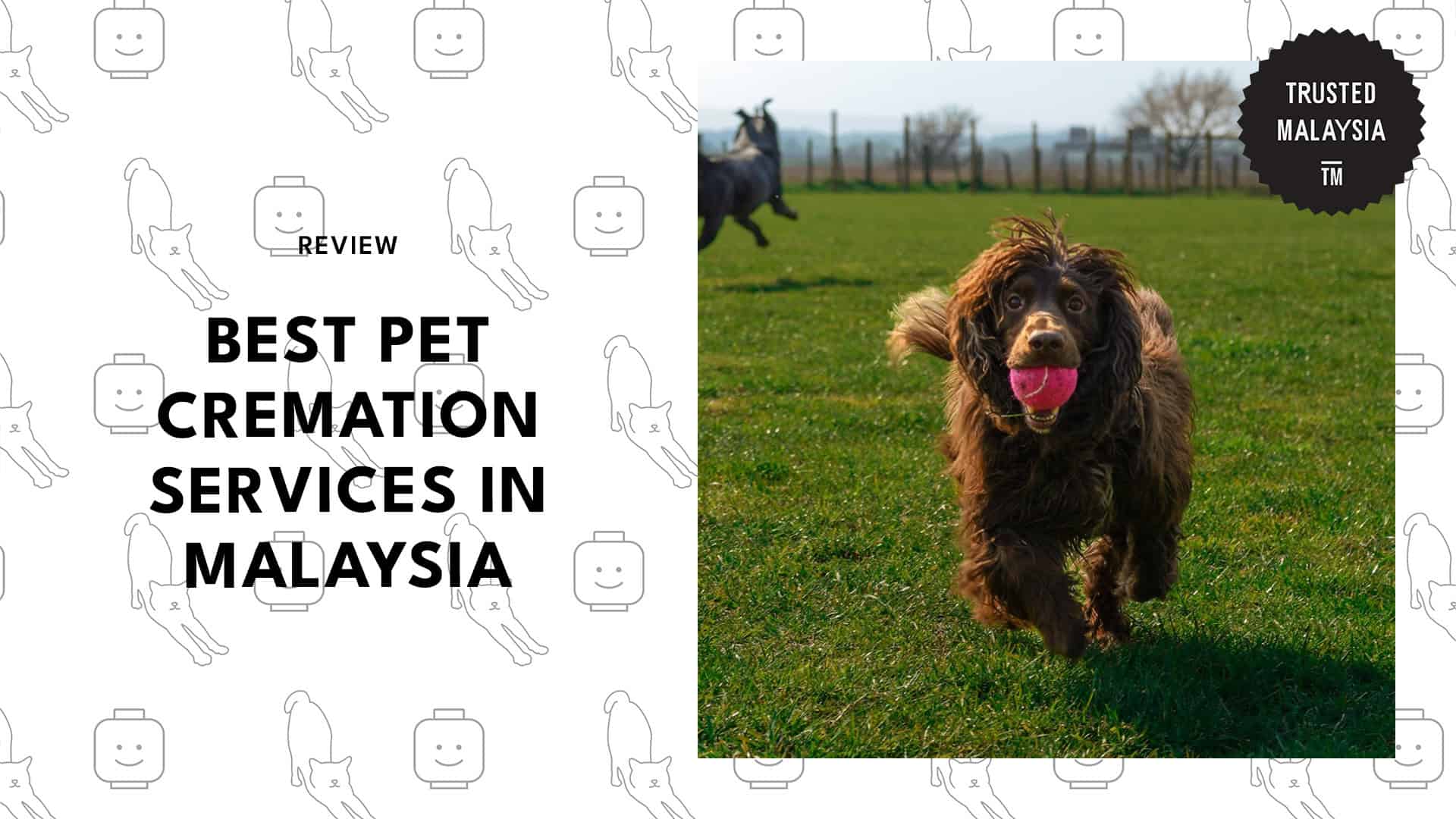 best-pet-cremation-malaysia-banner
