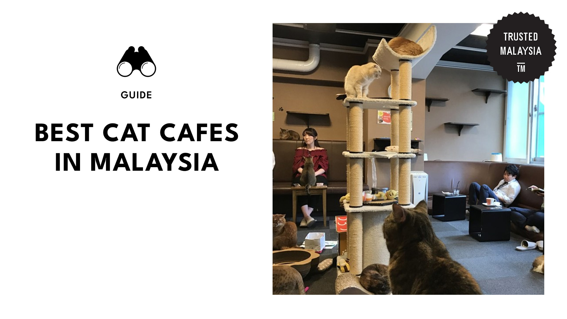 top-cat-cafes-malaysia-banner