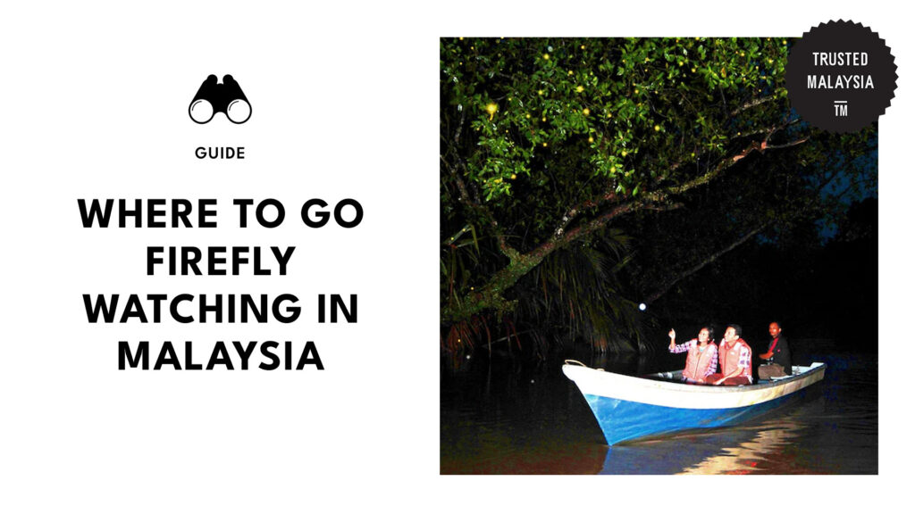 best-fireflies-watching-malaysia-banner