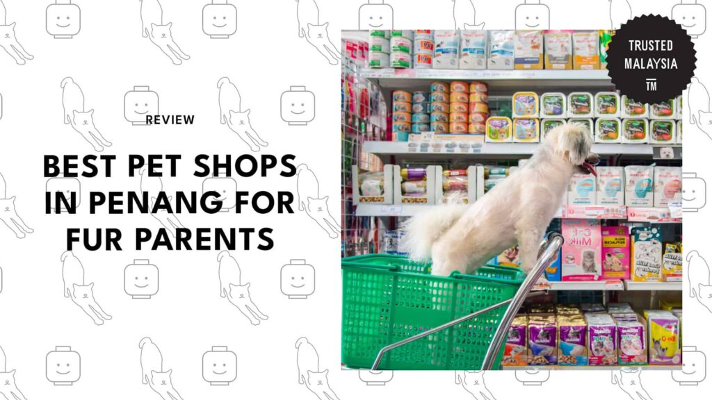 best-pet-shops-penang-banner