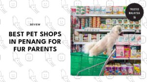 best-pet-shops-penang-banner