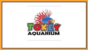 tokey-aquarium-logo