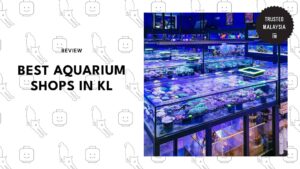 best-aquarium-shops-kuala-lumpur
