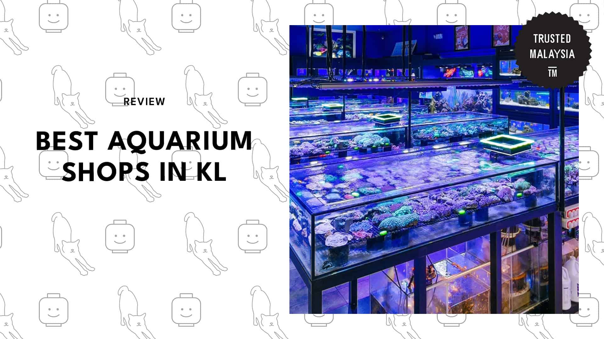 best-aquarium-shops-kuala-lumpur