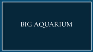big-aquarium-logo