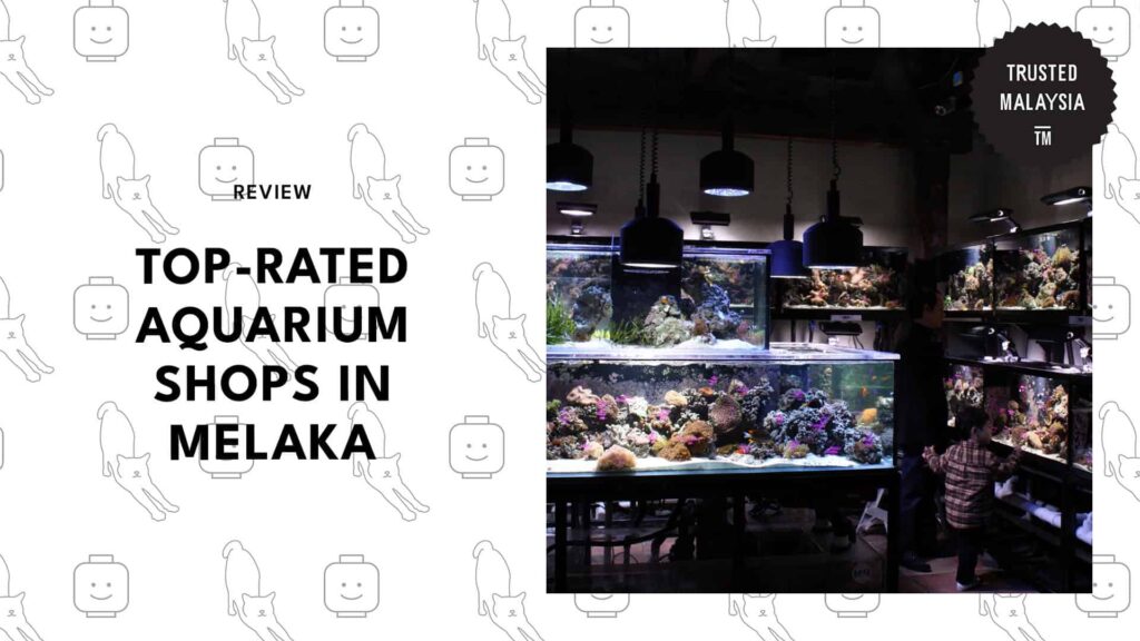 top-aquarium-shops-melaka-banner