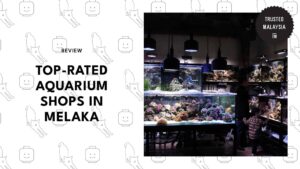 top-aquarium-shops-melaka-banner