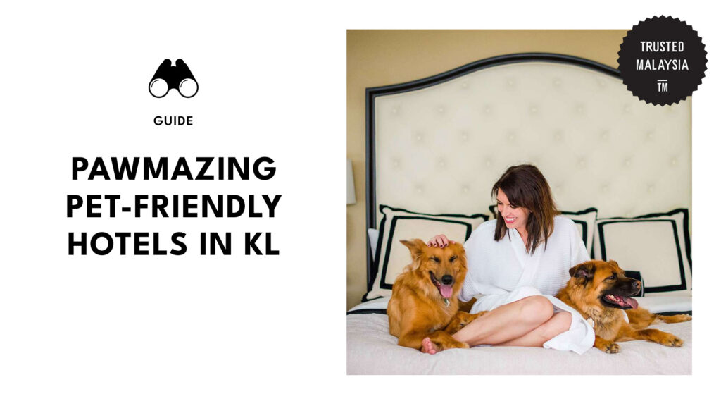 top-pet-friendly-hotels-kuala-lumpur-banner