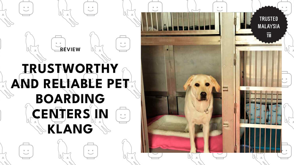 best-pet-boarding-klang-banner