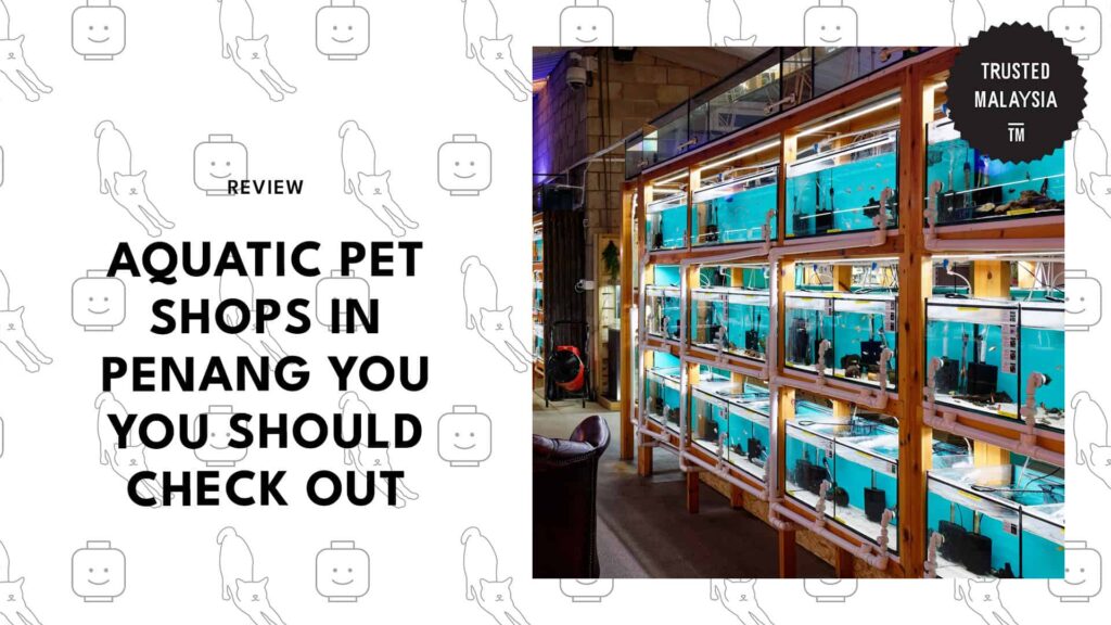 best-aquatic-pet-shops-penang-banner