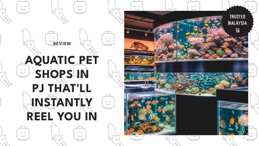 best-aquatic-pet-shops-petaling-jaya-banner