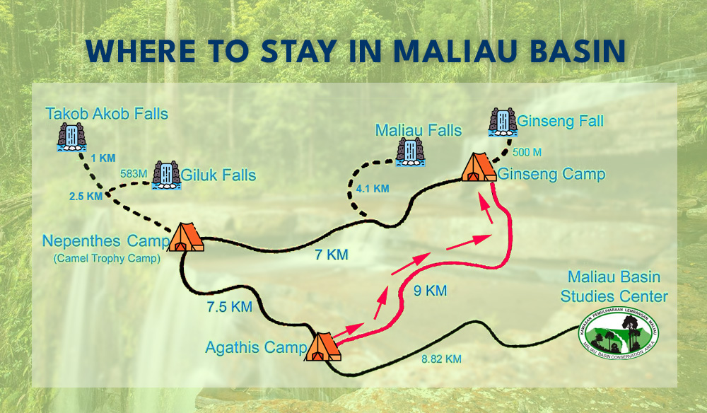 maliau-basin-camps