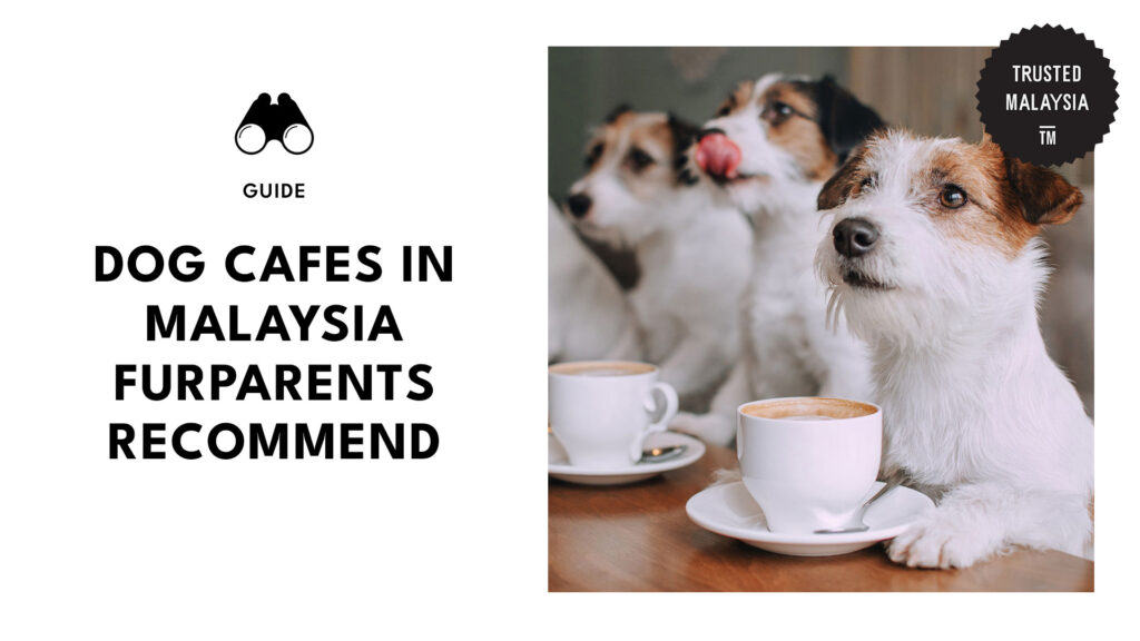 top-dog-cafes-malaysia-banner